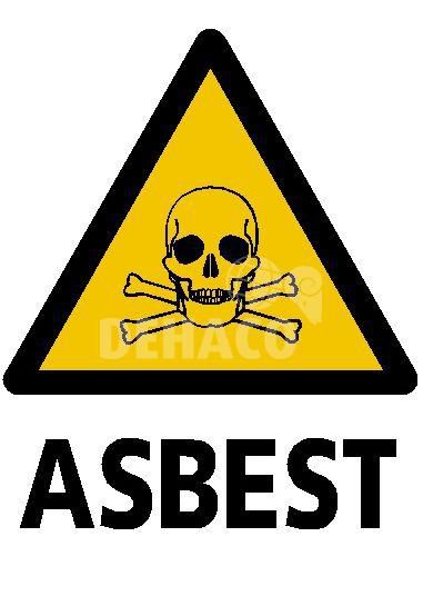 Warnschild Toxische Stoffe/Asbest 33 x 32 cm